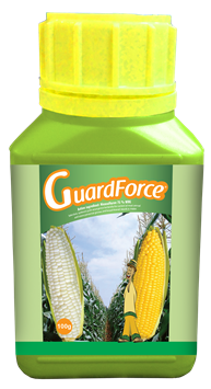 Guardforce 100g.png